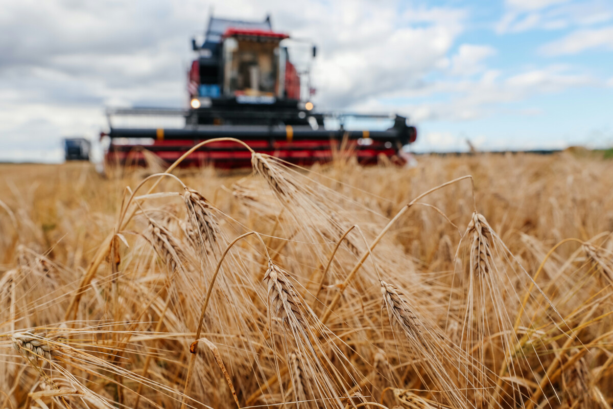 Гомсельмаш tweet media