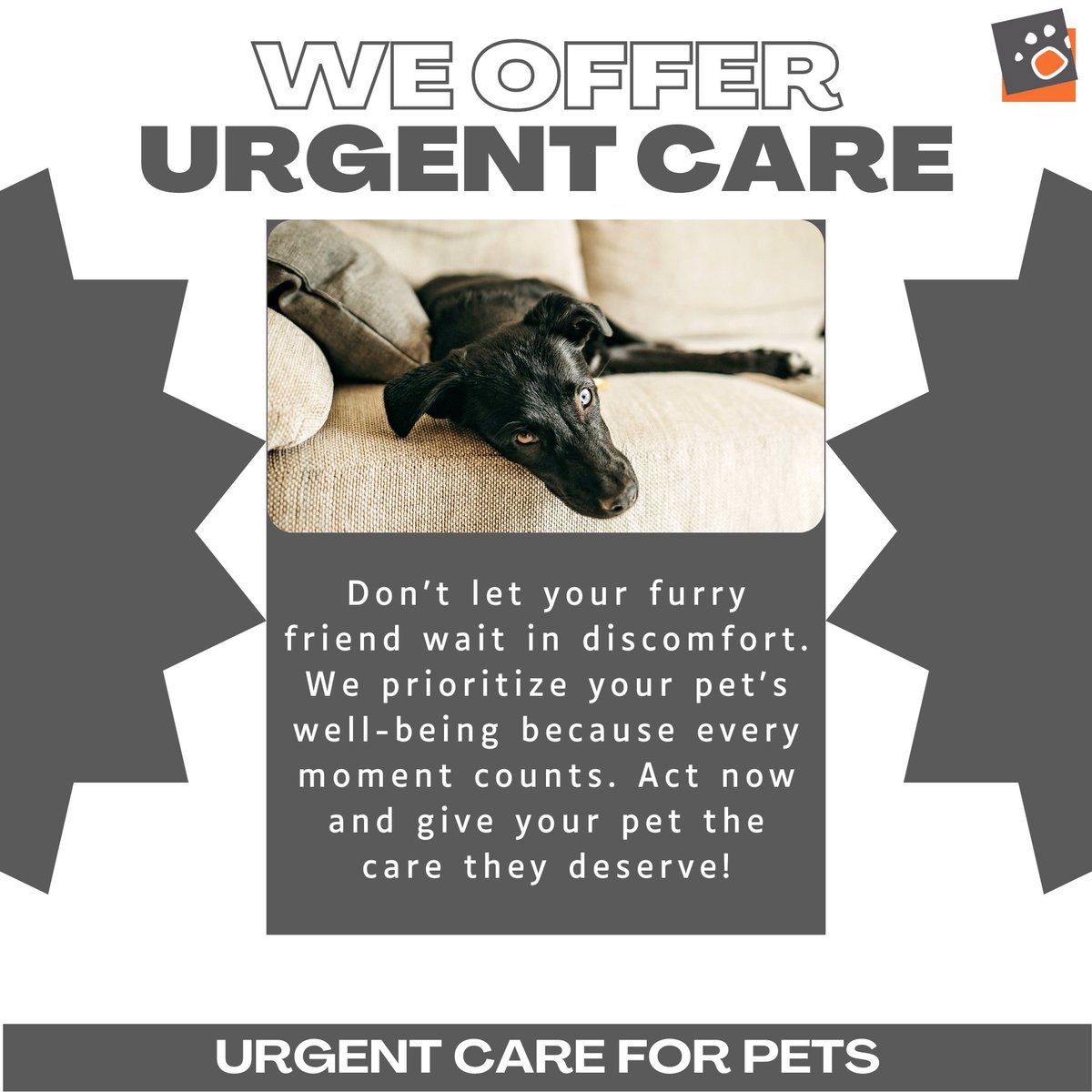 URGENT NOTICE: Our ER is experiencing a high volume of cases. Please call ahead so we can talk you through your pet’s situation and prepare for your arrival.