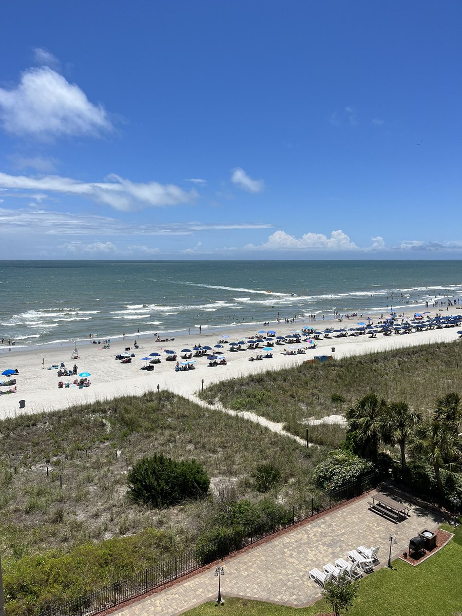 Christina Pedersen tweet media