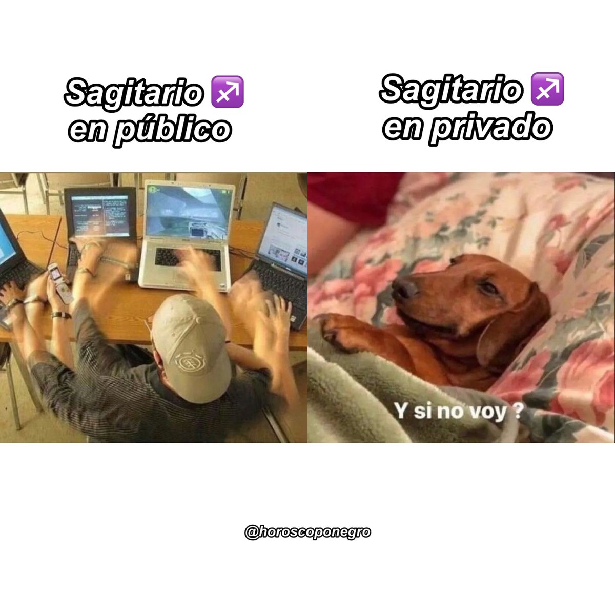 sagitario_hn's tweet image. ¿Estáis de acuerdo? 👏🏽🤣♐️