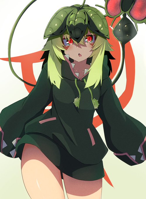 ほぼ毎日うちの子                          
579枚目 ディオネさん 