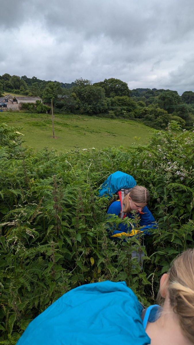 PriorParkCCF's tweet photo. There is a footpath here somewhere… @PriorPark ⛺️🚶‍♂️🚶‍♀️@DofE @DofESouthWest https://t.co/7QL5Dv1cen