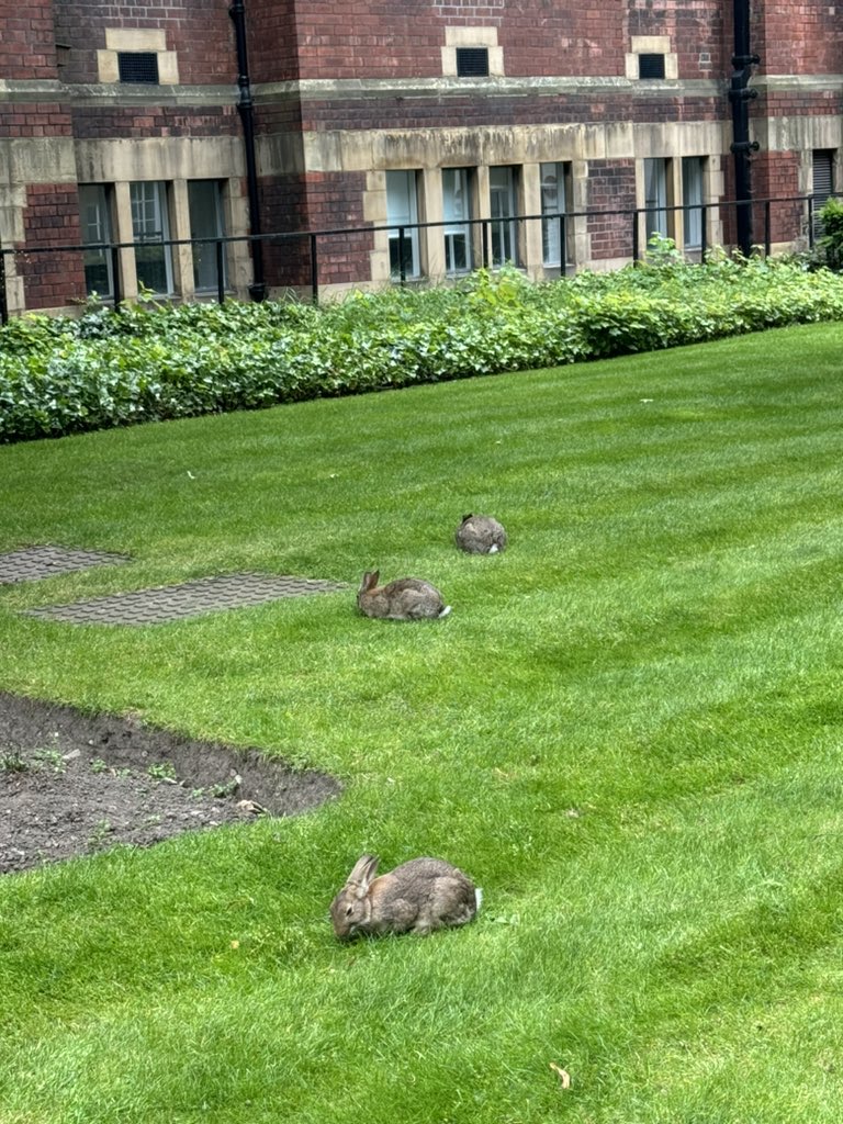 Spotted today at the Great Hall <a href="/UniversityLeeds/">University of Leeds</a>