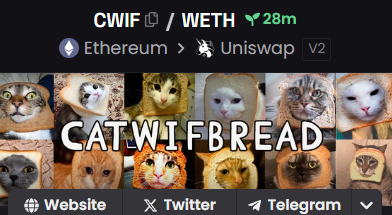 CatWifBread tweet media