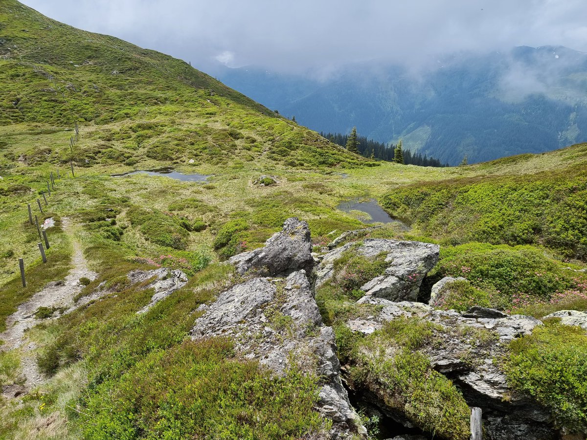 la_ontel's tweet photo. Über Lodronalm und Lodron (1925m) Richtung Steinbergstein.. https://t.co/J6gdfz519x