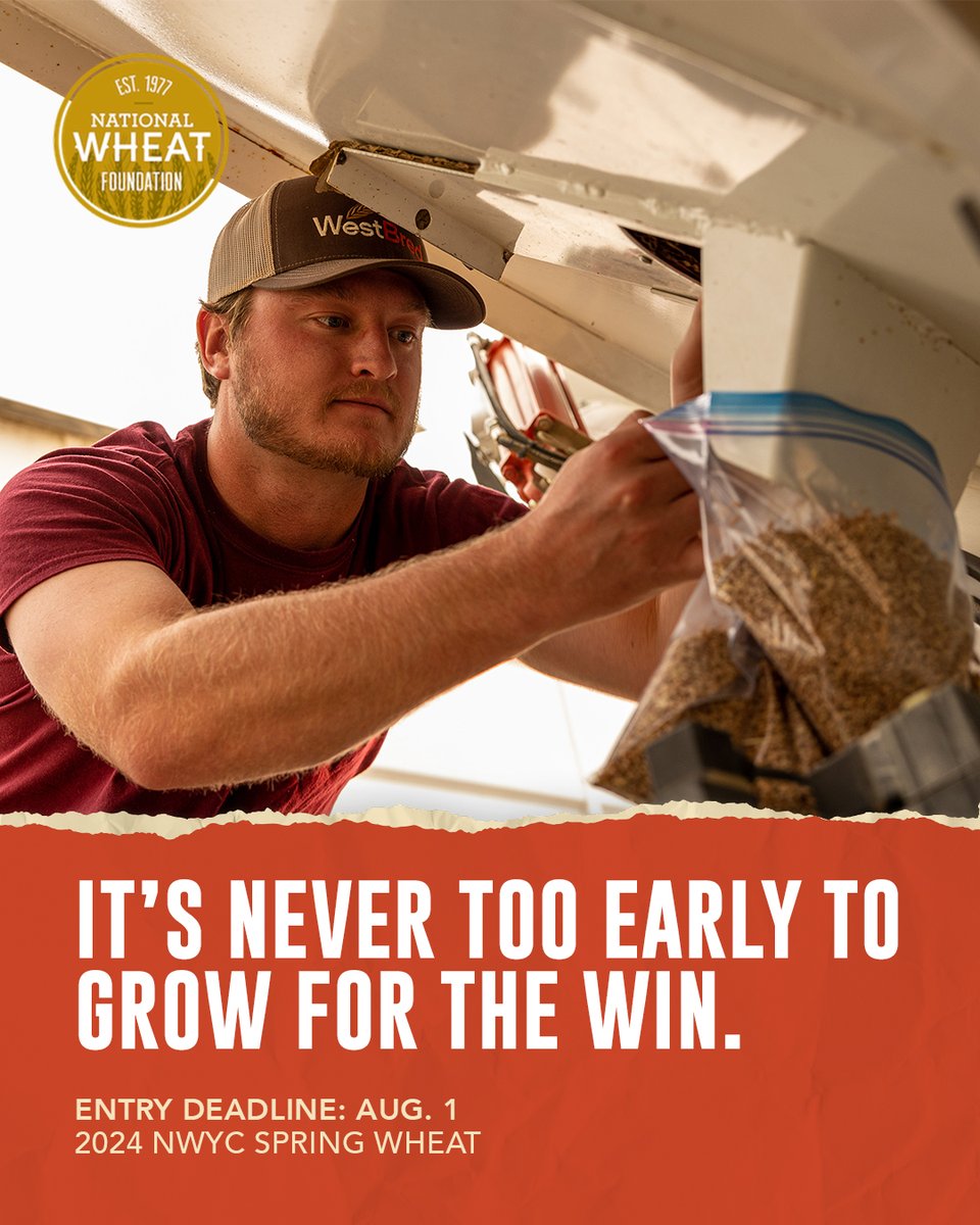 It’s never too early to start planning for excellence. Entry deadline for the 2024 <a href="/NationalWheat/">National Wheat Foundation</a> Yield Contest Spring Wheat category is Aug. 1️⃣. Enter here, champ. 🏅 spr.ly/60165CTZ2
#SeizeTheSeason #NWYC
<a href="/wheatworld/">NAWG</a> <a href="/NationalWheat/">National Wheat Foundation</a>