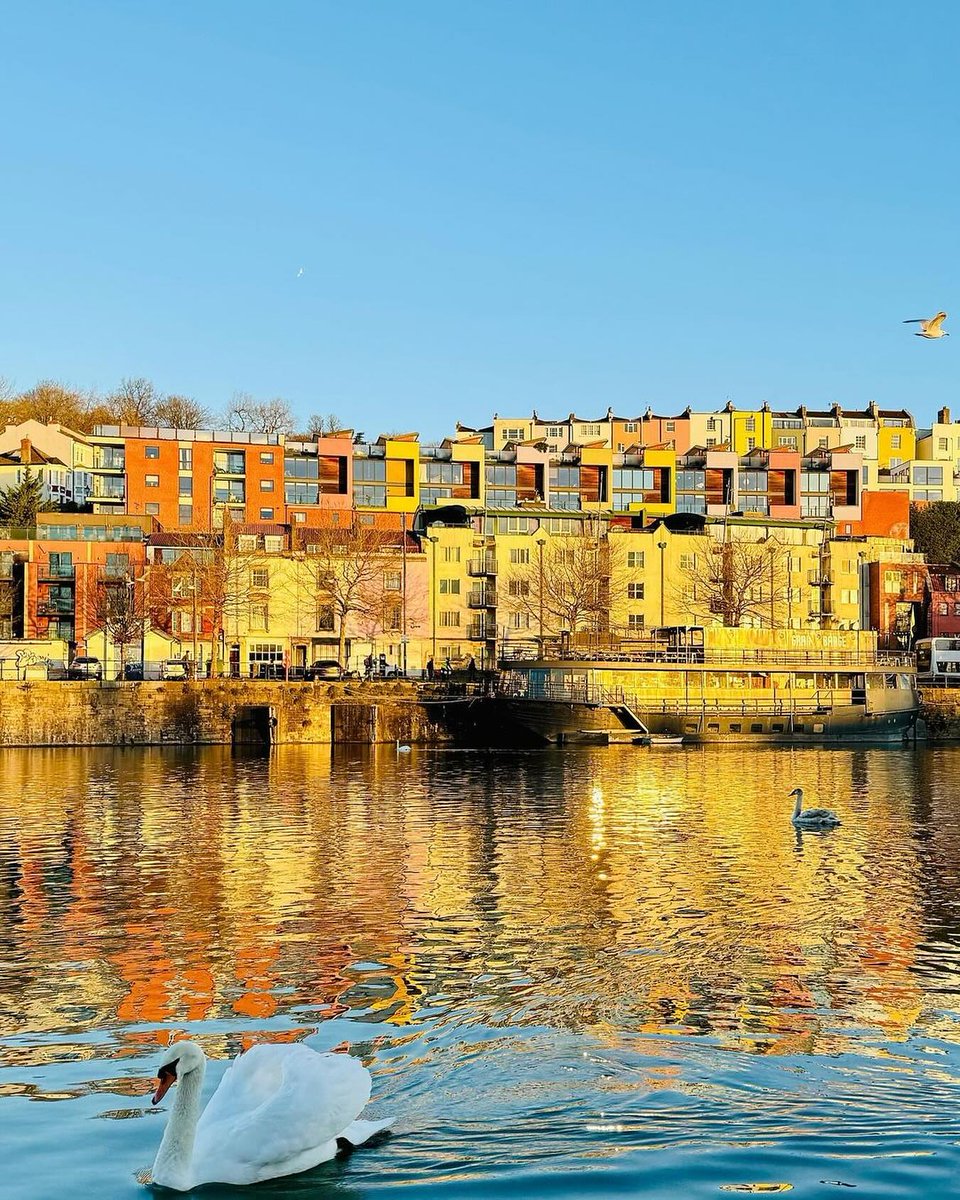 Golden hour on #bristolharbour

 @chrisluckettphotography 🌞⁠