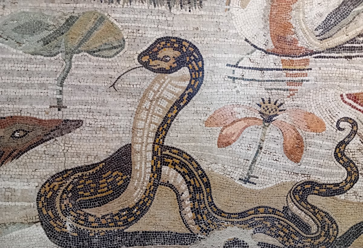 Dr Jo Ball tweet media