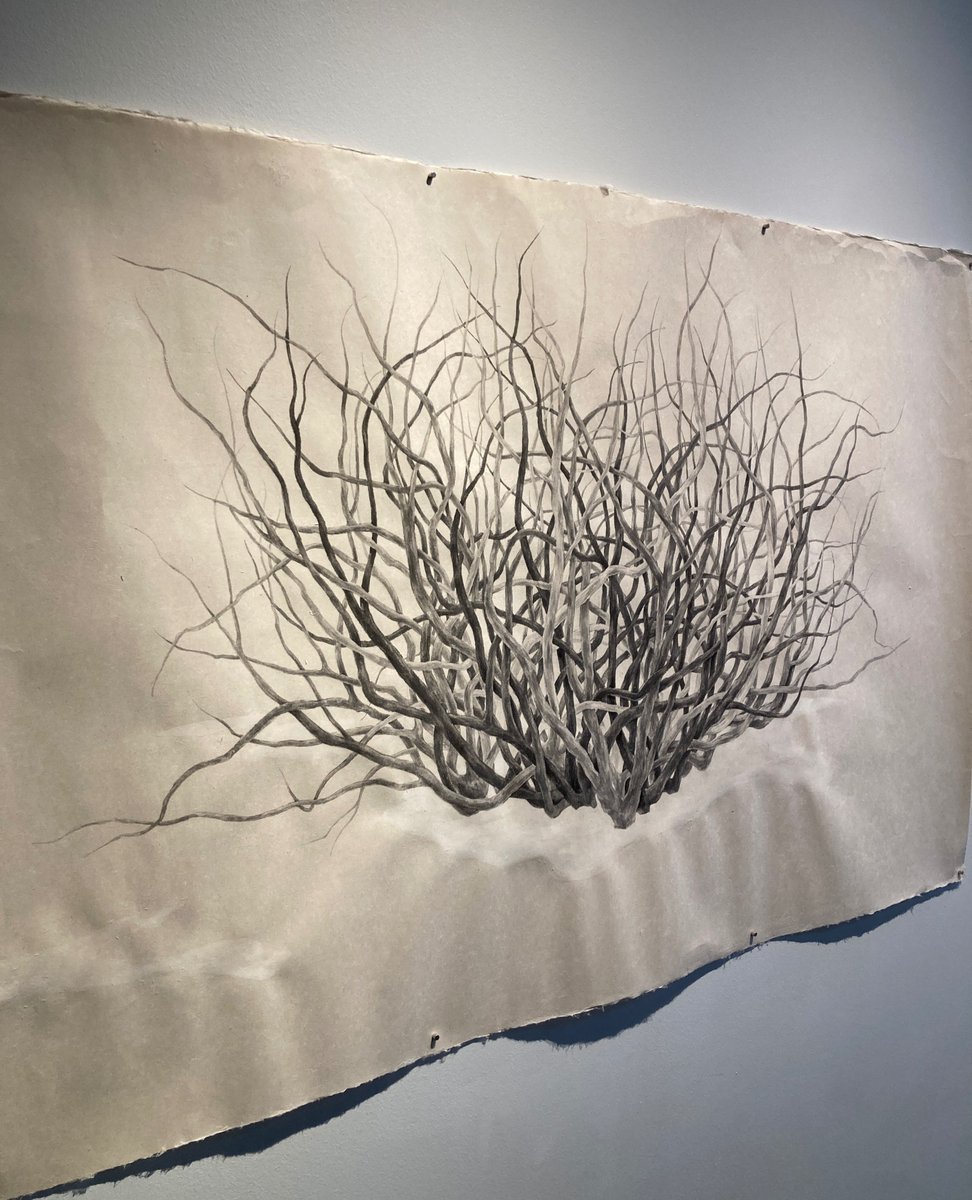 Art Unbound 예술의 넘나들기 in CVA's 965 Project Gallery is a cultural exchange of art from students at Chung-Ang University in South Korea and MSU Denver. ⁠

#CVADenver #MSUDenver #ArtUnbound #StudentArtists