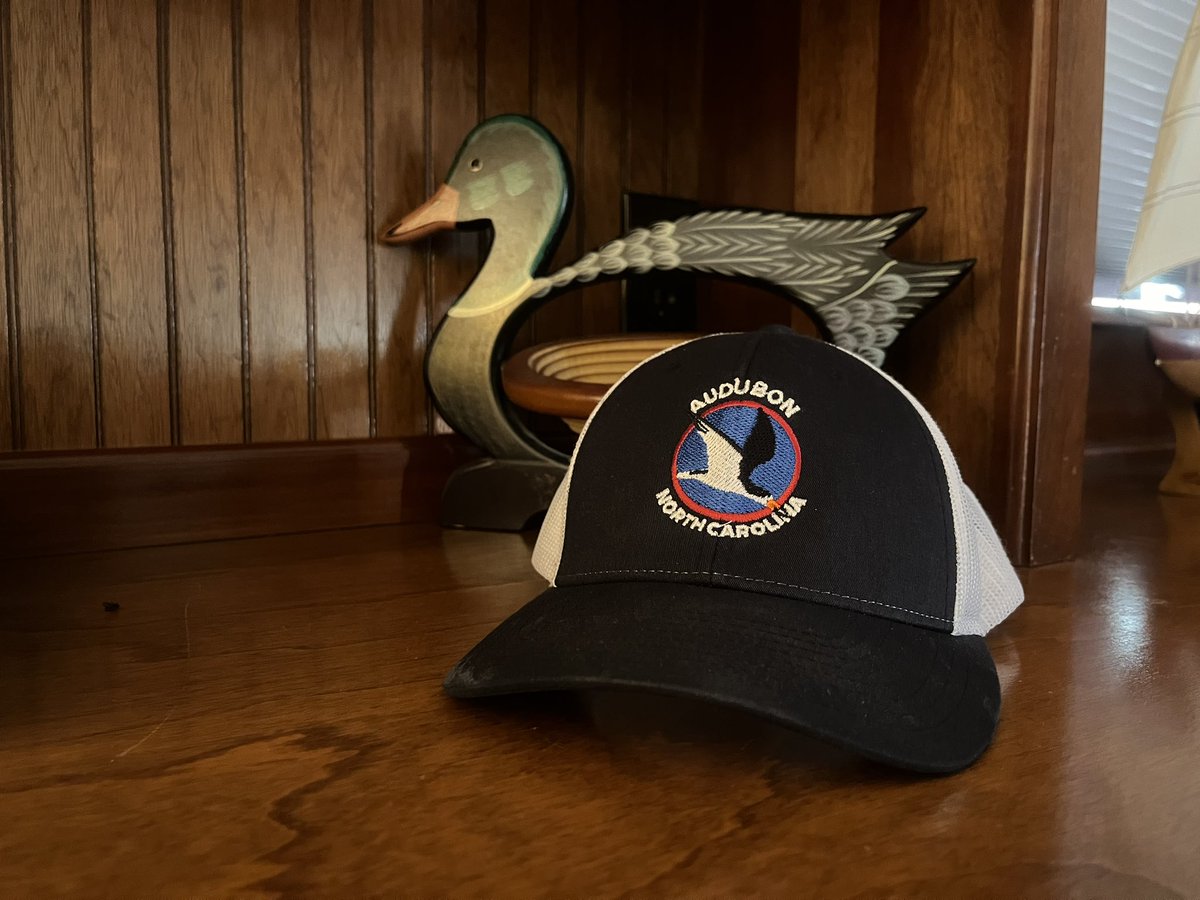 Zach Wallace tweet media