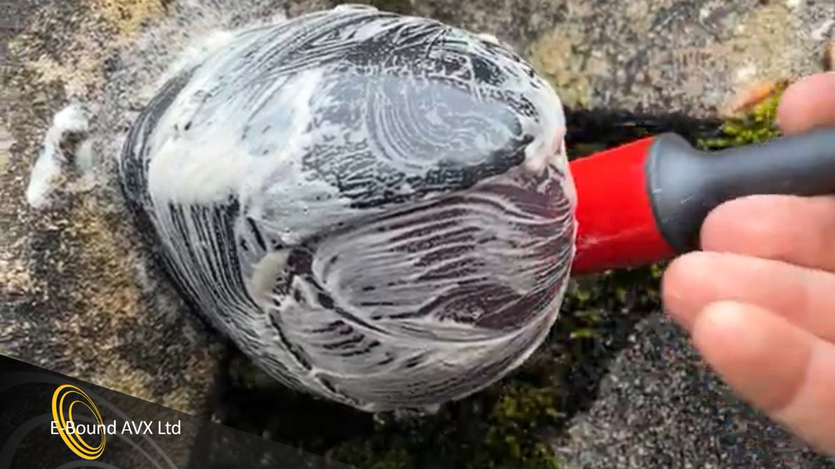 E-Bound AVX tweet media