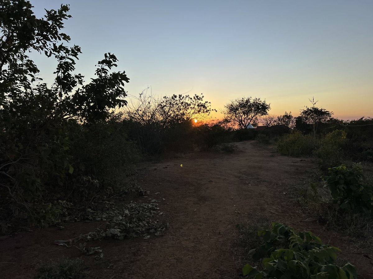 Every sunset brings hope to another day of hope. Call us for Game/Hiking via +255774781171 +255767781171 or +255766244163
#sunset
#tourism
#adventure
#nature 
#camping
#livelikeafrican
#mikuminationalpark