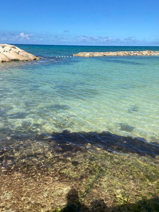 Watch YouPay's leaked NSFW photo on TwXstars