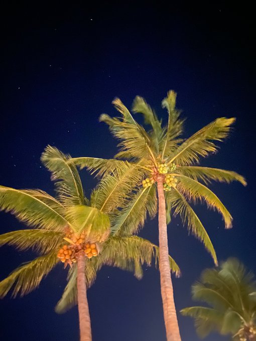 Watch YouPay's leaked NSFW photo on TwXstars