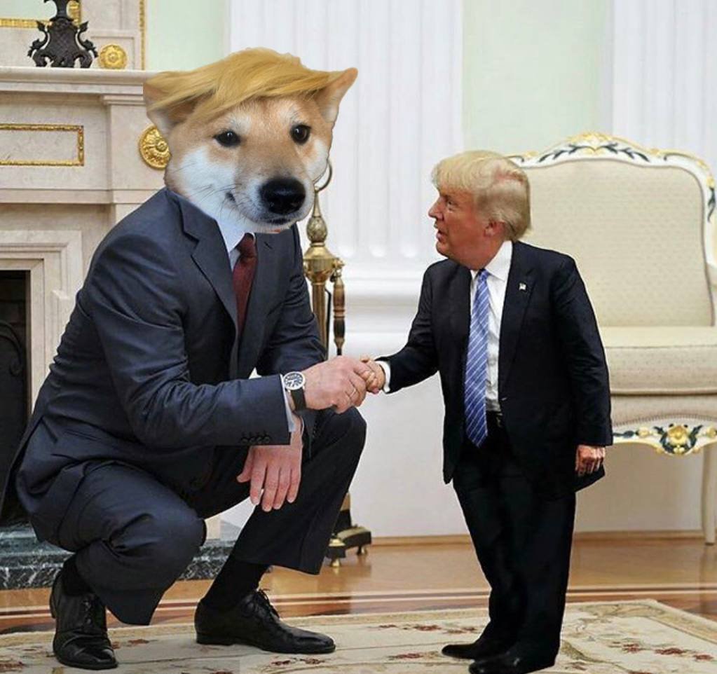 Rubberbandit_8's tweet photo. @THEREALPAWTUS @GodsBurnt https://t.co/cSV8eoYlrX