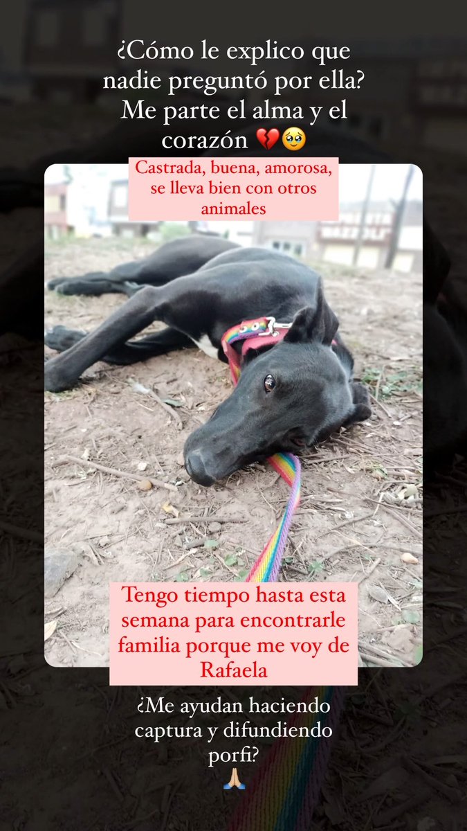 FloGuerrero5's tweet photo. Ayúdenme a difundir porfa! 🙏🏼🙏🏼🙏🏼

Tengo que ubicar a esta negra hermosa esta semana 💔🥹 https://t.co/BbyMrPZRNk