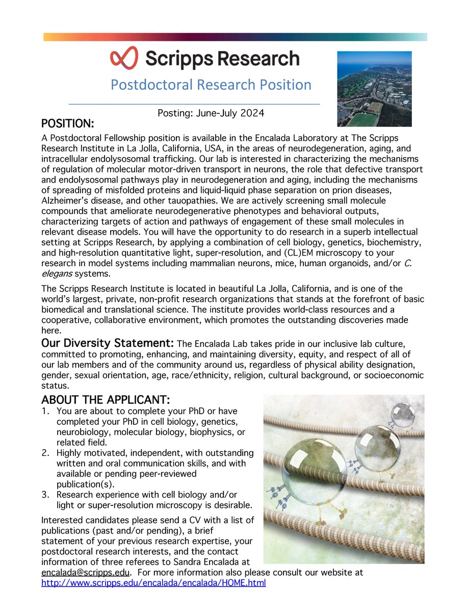 Sandra Encalada Lab (@encaladalab) on Twitter photo Wanna work towards finding a treatment for prion diseases and Alzheimer's disease? #AlzheimersDisease #curepriondiseasescripps Join us! Awesome postdoc fellowship opportunity <a href="/scrippsresearch/">Scripps Research</a> in pretty awesome San Diego: Wanna work towards finding a treatment for prion diseases and Alzheimer's disease? #AlzheimersDisease #curepriondiseasescripps Join us! Awesome postdoc fellowship opportunity <a href="/scrippsresearch/">Scripps Research</a> in pretty awesome San Diego: