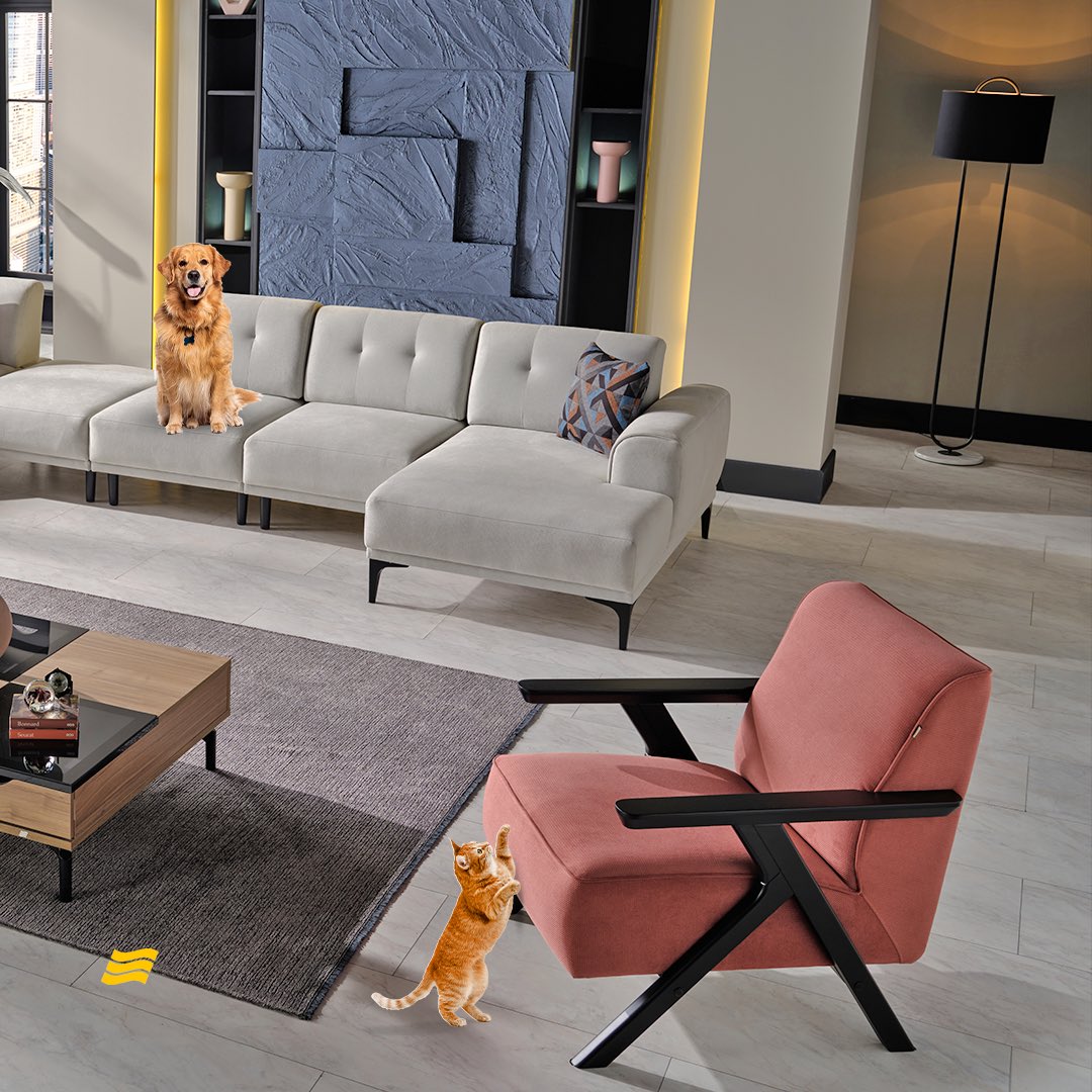 IstikbalGlobal's tweet image. With its paw-friendly fabric designed with our furry friends in mind, Symphony Corner Set is made of scratch and damage resistant materials. 

#İstikbal #symphony #cornerset #pawfriendly