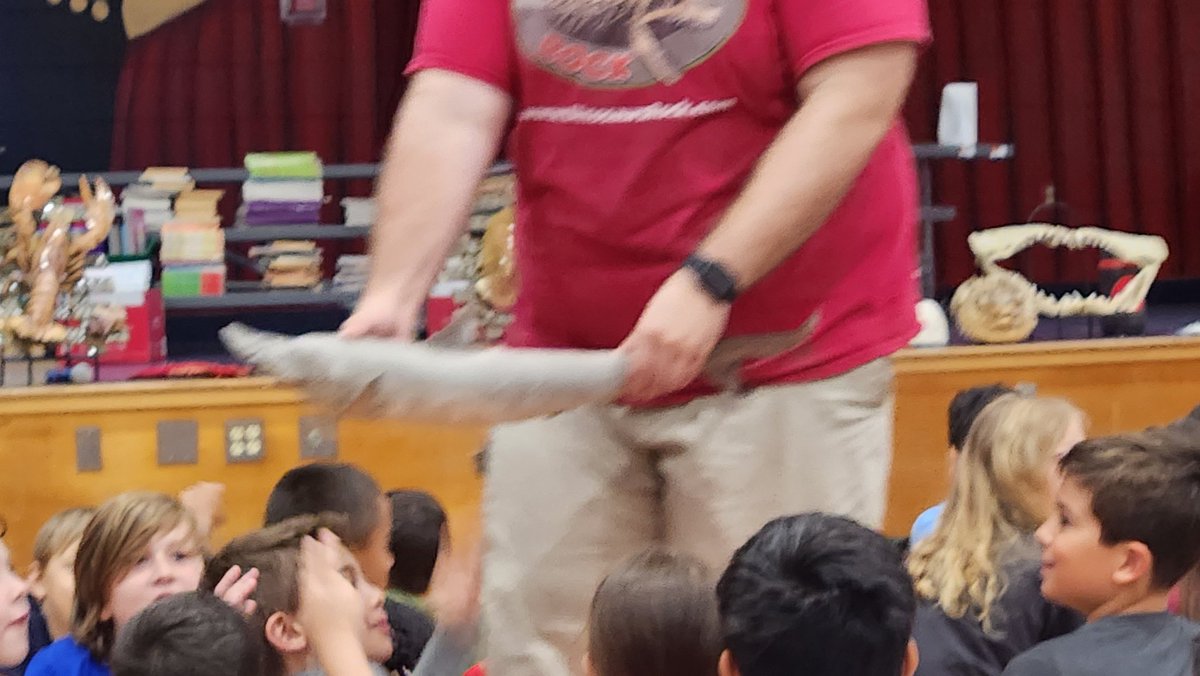 Oceans Rock Assembly was a great start to our Summer  Boosters Program and Under the Sea Week.🌊🐠🐟🦈 <a href="/KalliTriantafi1/">Kalli Triantafillakis</a>