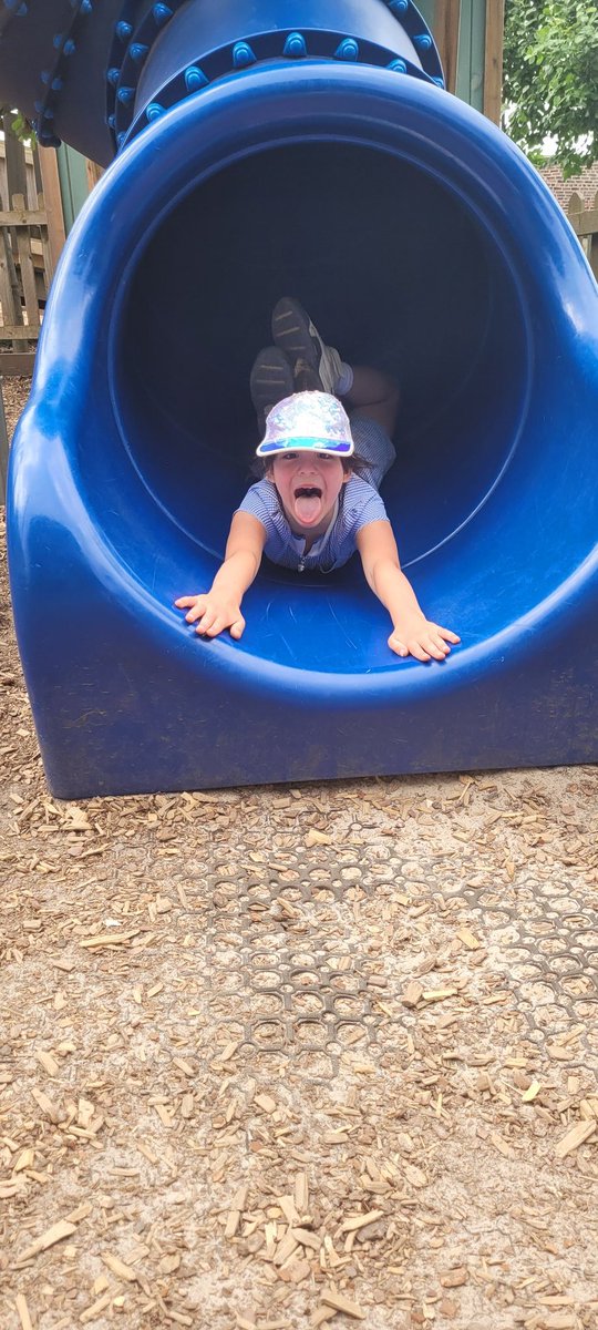 Miss Innes tweet media