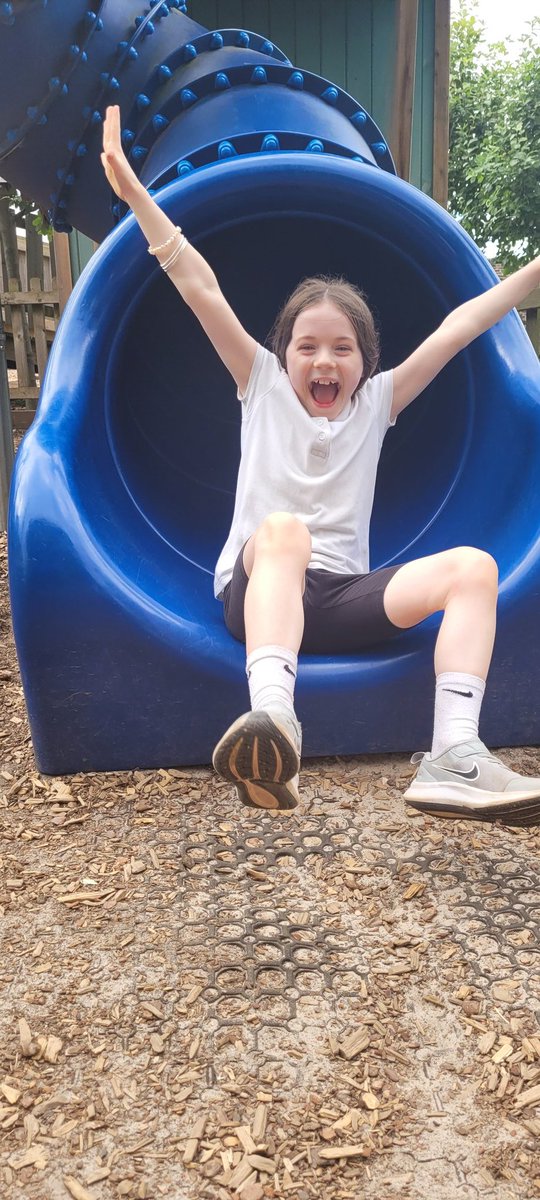 Miss Innes tweet media