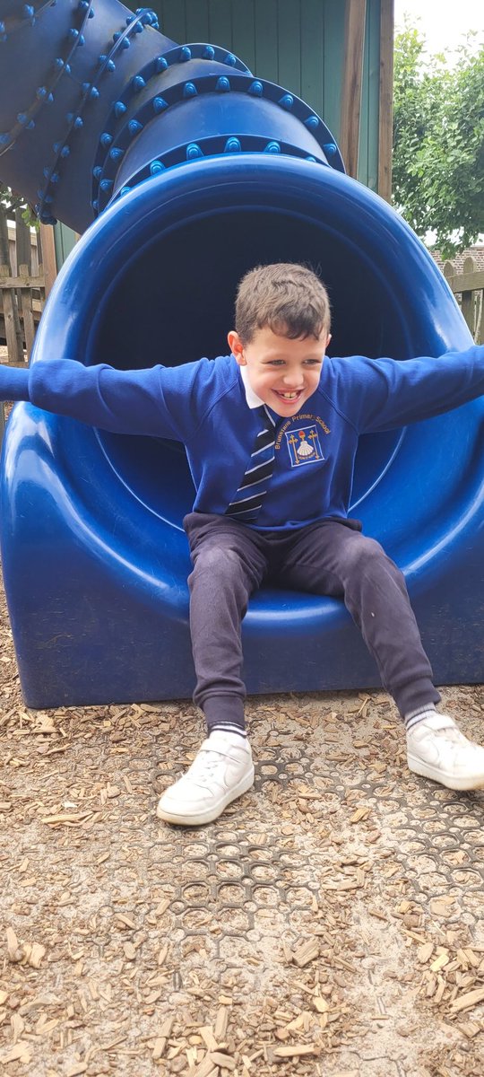 Miss Innes tweet media