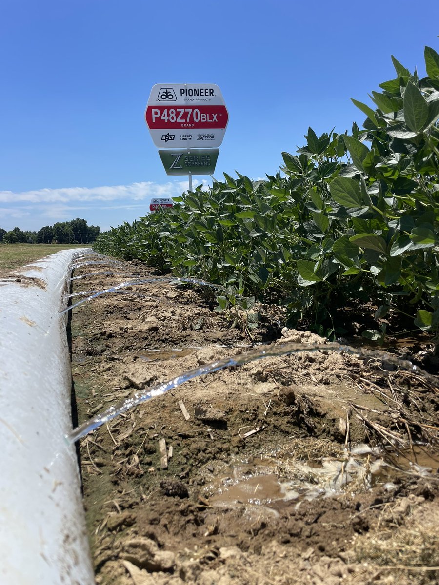 Jason Rudick tweet media