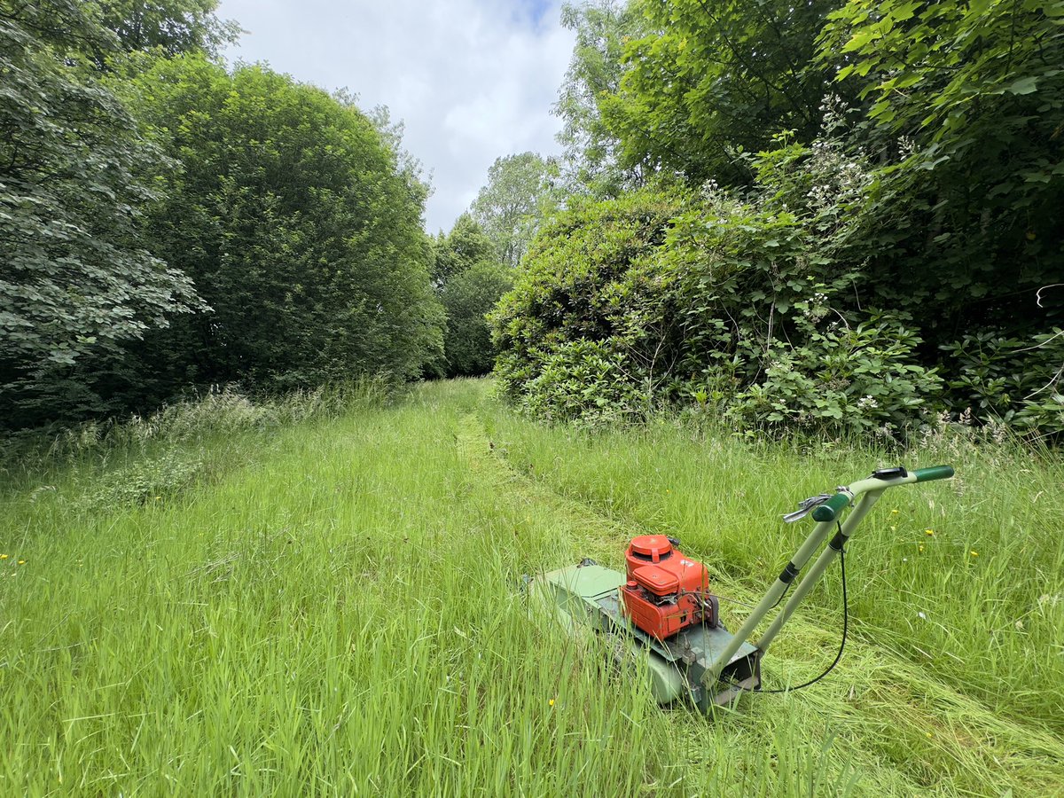 Mowing paths through the wildflower meadow…