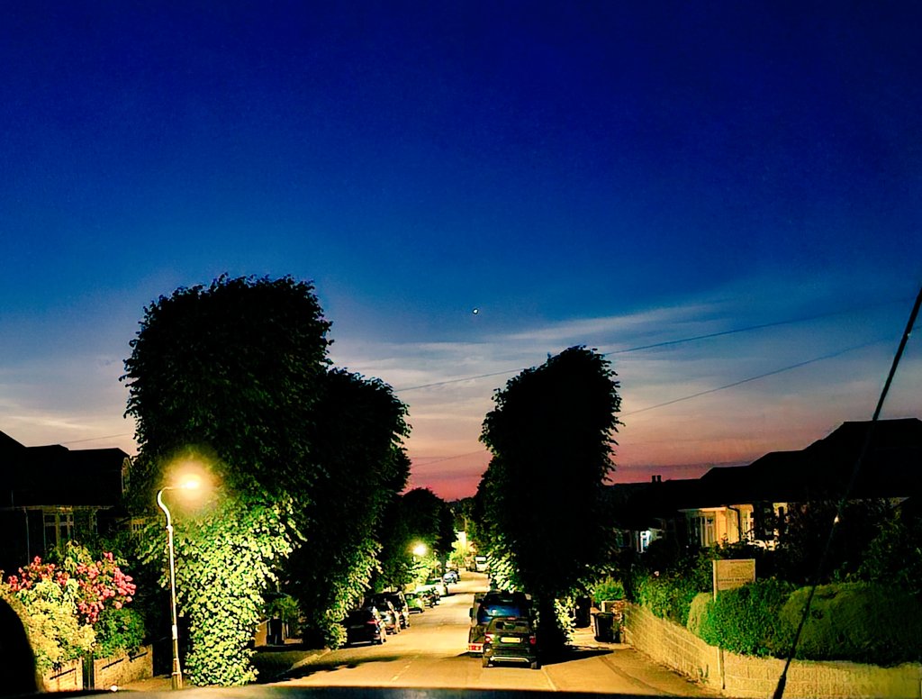 mark holloway🐞🦗🐝🦠🦊🕸🕷🐛🦉🌿🔭👀 tweet media