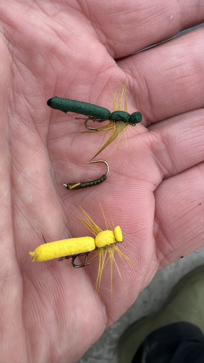 hopper68's tweet image. Had some good fun with this trio on Menteith lol #flyfishing