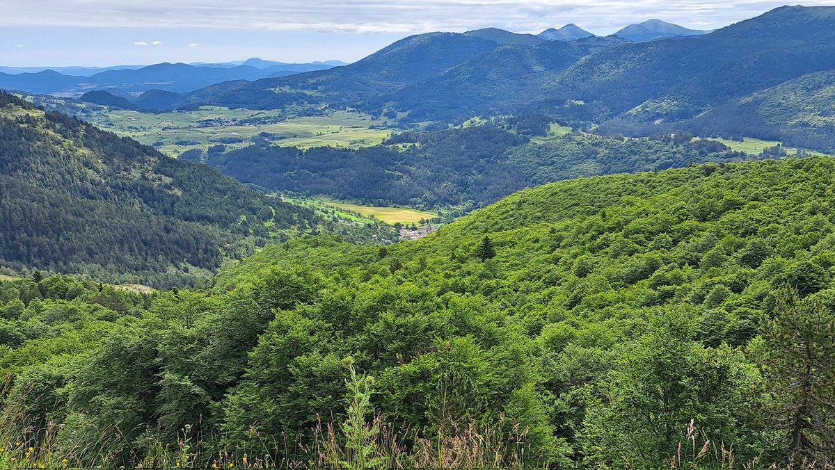 🏴‍☠️Manel Raval 1-O II*II 🇸🇳🇯🇲🎸🍉🍄☠️🥷👽💣 tweet media