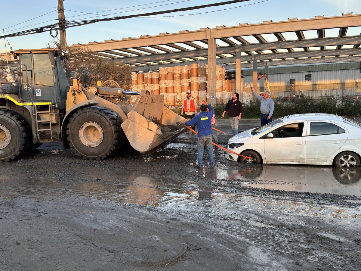 Felipe_Salvat's tweet photo. @Muni__Lampa el roble y el castaño, la municipalidad brilla por su ausencia.. https://t.co/ESJ4awzEep