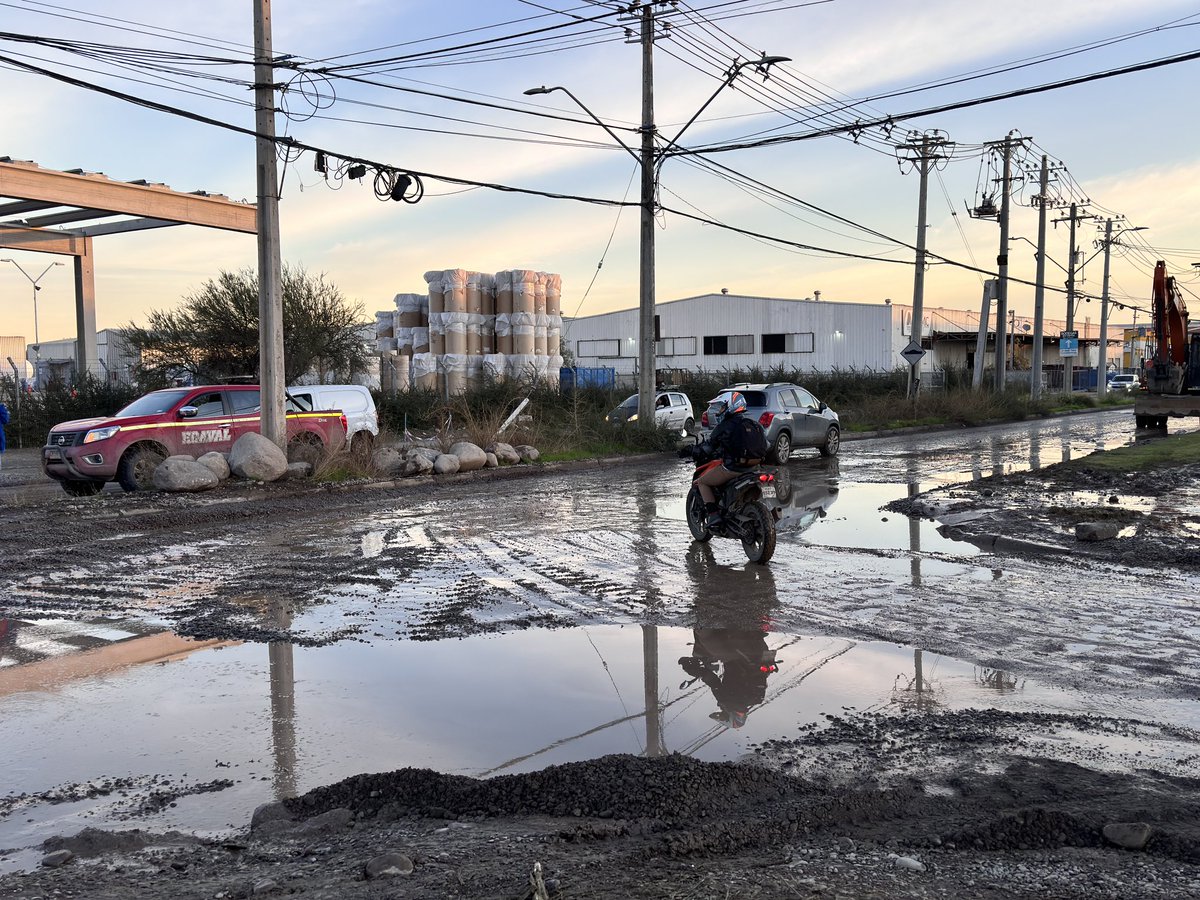 Felipe_Salvat's tweet photo. @Muni__Lampa el roble y el castaño, la municipalidad brilla por su ausencia.. https://t.co/ESJ4awzEep