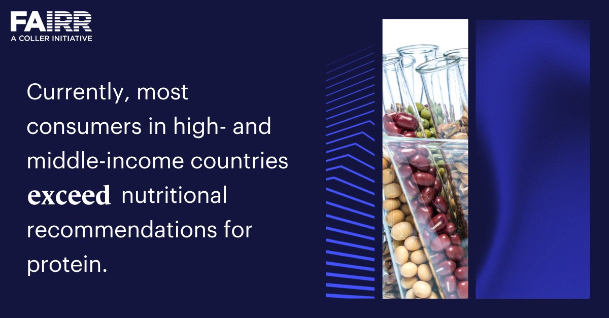 FAIRR’s recent document on #protein and #nutrition shows that all protein sources (animal, plant, insect, and cultivated) have all essential amino acids 🌱

It also highlights the widespread misconception that high-protein diets improve metabolic health.