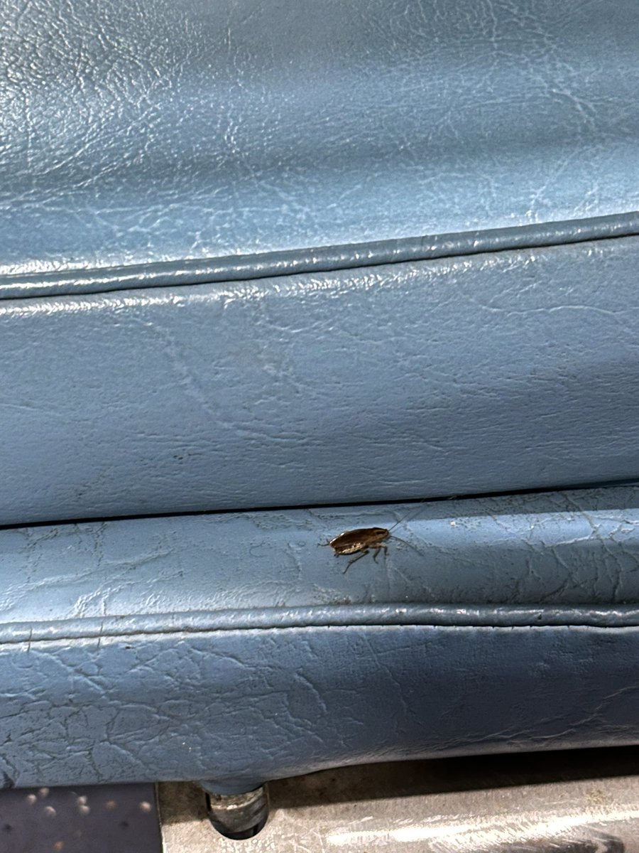 TrekkersU's tweet photo. Dinner date with cockroach in 3AC?  What a surprise (Train 22144)

Is this 3AC? @RailwaySeva @KonkanRailway @RailMinIndia https://t.co/UCHVxKWXKk