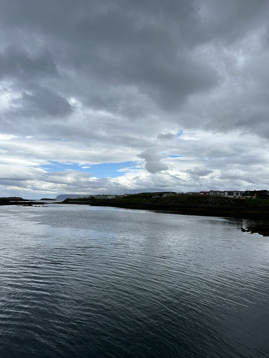 Þorsteinn Másson tweet media