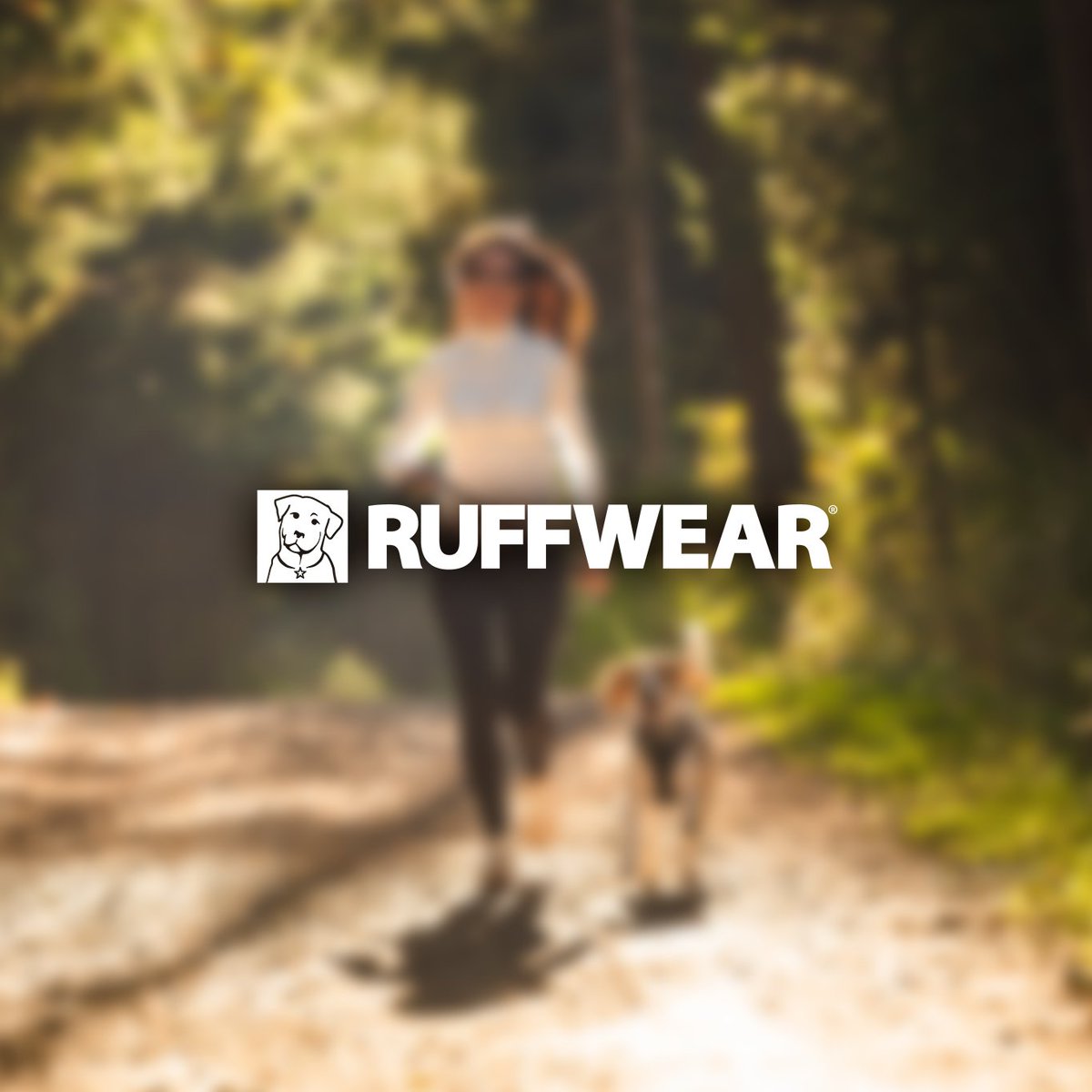 Evolved (@evolved_search) on Twitter photo Calling all dog owners - We're gathering insights for <a href="/RuffwearUK/">Ruffwear UK</a> that will help them create an even better online experience for customers🐶
If you have a spare minute, please complete our survey: qualtricsxmxf8375lt5.qualtrics.com/jfe/form/SV_1E…
#Survey #PetOwners #DogOwners #CustomerInsights Calling all dog owners - We're gathering insights for <a href="/RuffwearUK/">Ruffwear UK</a> that will help them create an even better online experience for customers🐶
If you have a spare minute, please complete our survey: qualtricsxmxf8375lt5.qualtrics.com/jfe/form/SV_1E…
#Survey #PetOwners #DogOwners #CustomerInsights