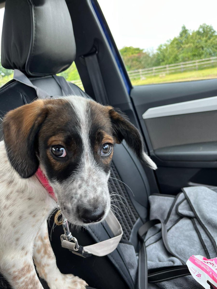 RubyRubes tweet media