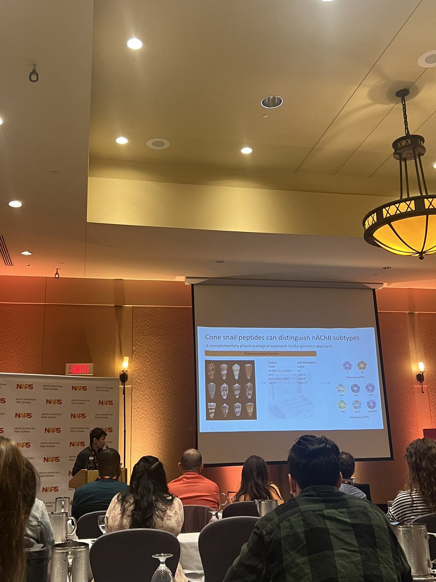 Courtney Wynne Hess, PhD (@dr_cwhess) on Twitter photo Learning about cone snails wasn’t on my 2024 bingo card, but <a href="/JortanTun/">Jortan Tun</a> changed that! Turns out their venom can help us learn about #Pain <a href="/NAPainSchool/">North American Pain School</a> Learning about cone snails wasn’t on my 2024 bingo card, but <a href="/JortanTun/">Jortan Tun</a> changed that! Turns out their venom can help us learn about #Pain <a href="/NAPainSchool/">North American Pain School</a>