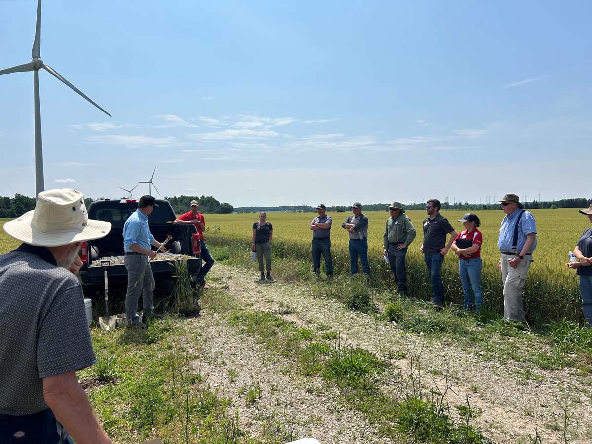 SnobelenGrain's tweet photo. On Friday we took seed dealers on a winter wheat tour! ☀️ It was hot, but we had a great time showcasing our exceptional lineup of winter wheat varieties available this year. Big thanks to everyone who joined us and braved the heat!
#SnobelenSeed #QualityWithoutCompromise https://t.co/g6l6Pi258a