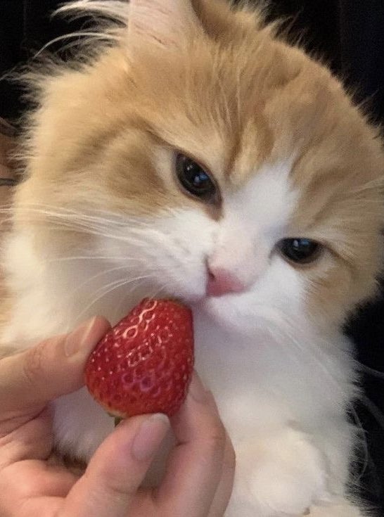 he ATE