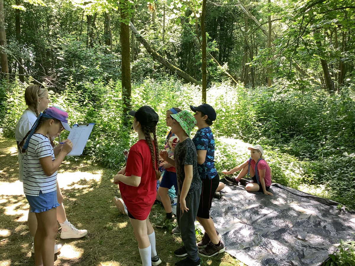 Hadleigh Community Primary School tweet media