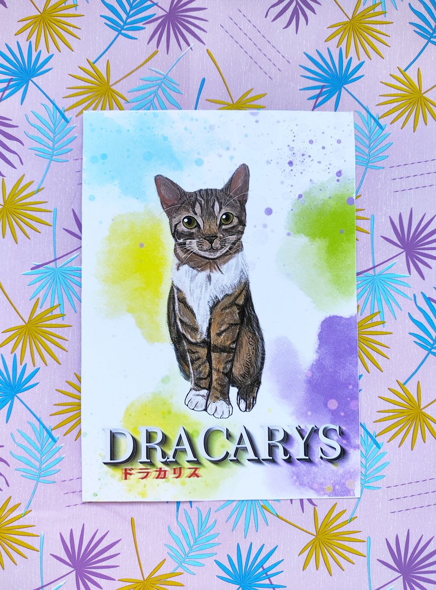 luciass__07's tweet photo. 🐱✍️
#dibujogato #mascotailustrada #dibujandomascotas #ilustraciongatitos #gatitosilustrados #ilustraciondigital #ilustracionpersonalizada #regalospersonalizados #dibujospersonalizados #retratomascota #gatos #dibujogatos #cat #catdrawing #digital #digitalartist #illustration https://t.co/bY030j8tfo