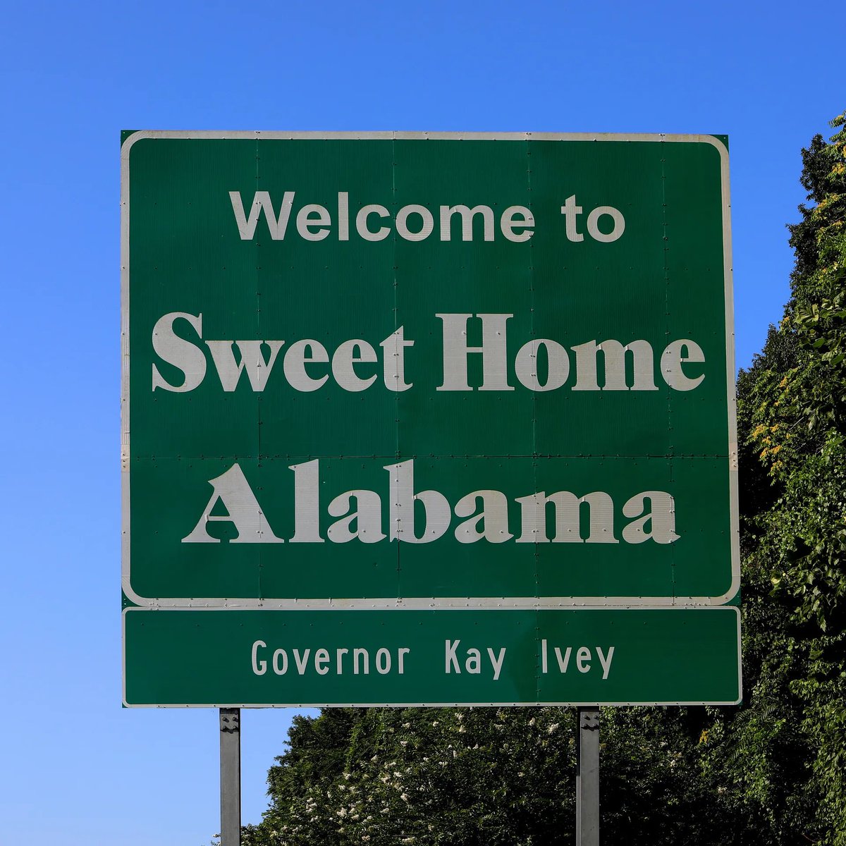 GovernorKayIvey's tweet photo. ๐: Happy 50th Anniversary to "Sweet Home Alabama"!
This iconic song has become a beloved anthem for our great state, celebrating our spirit and pride.
Thank you, Lynyrd Skynyrd, for capturing the heart of Alabama so beautifully.
Here's to many more years of singing along! https://t.co/wFexDntVl8