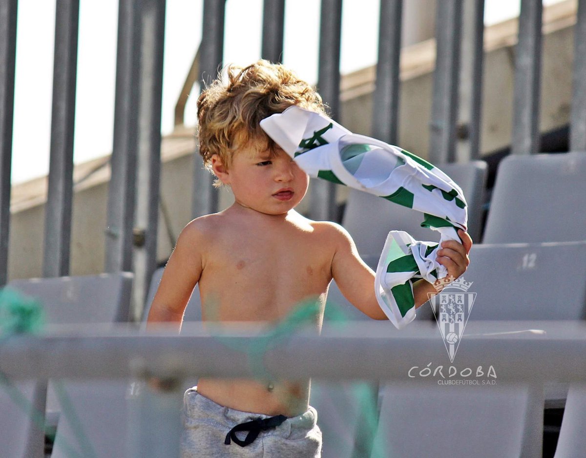 Julián Cerdá Vicente tweet media