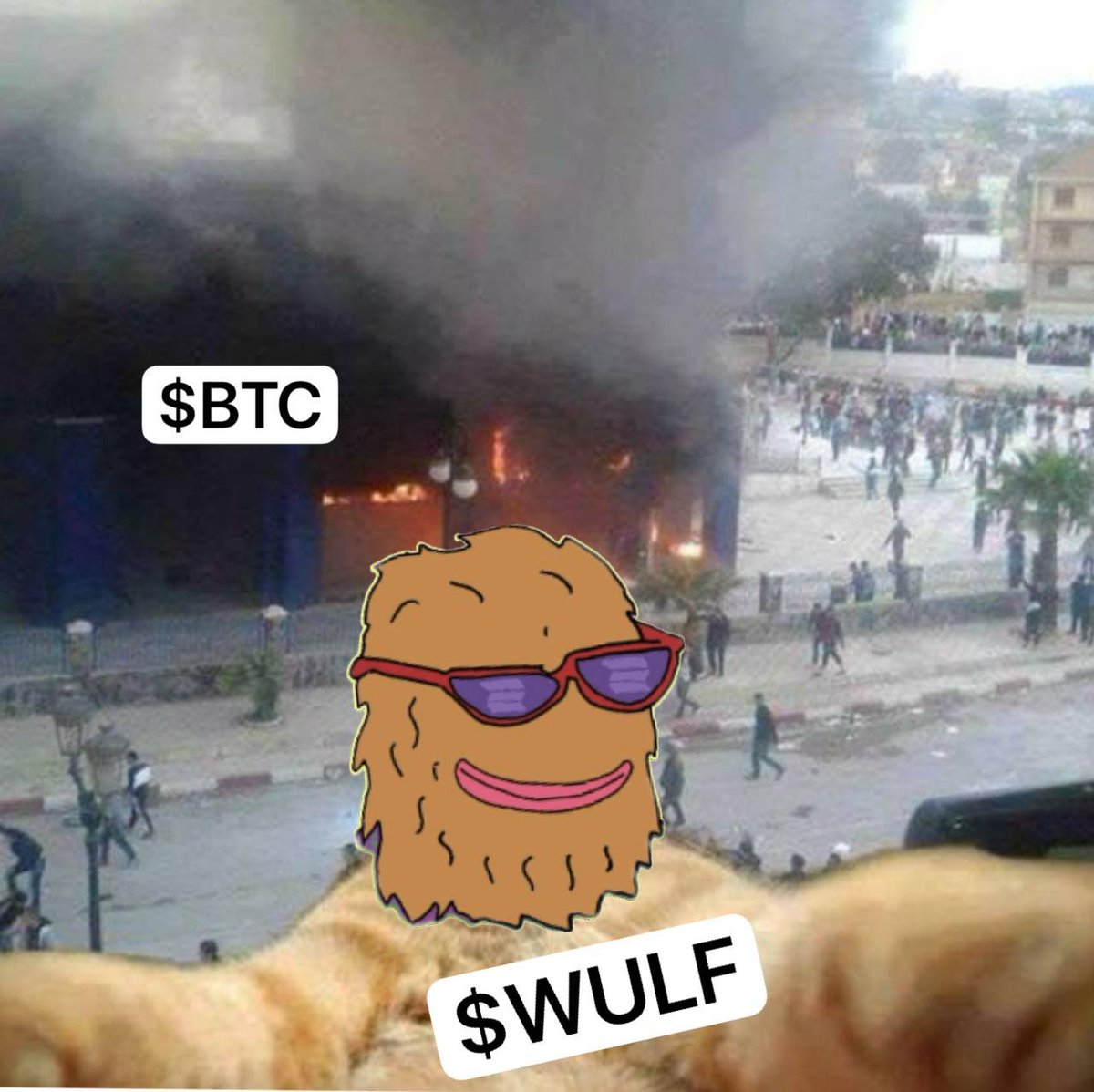 LandWulf tweet media