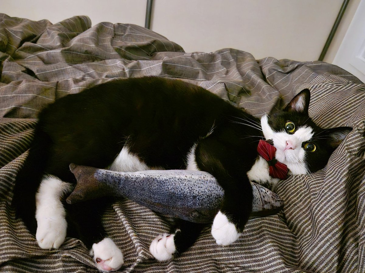 웅니 오늘 저녁은 꼬등어조림 오때