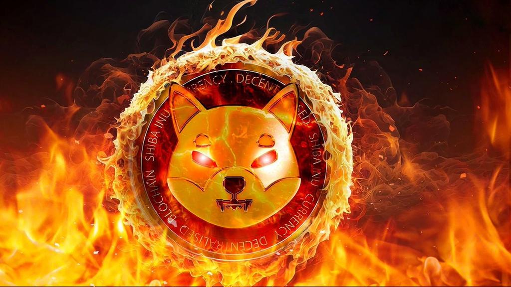 SHIB POSSESSOR tweet media