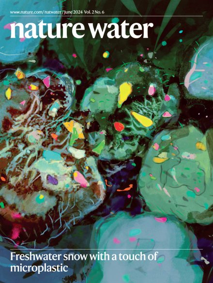 Denise Mitrano tweet media