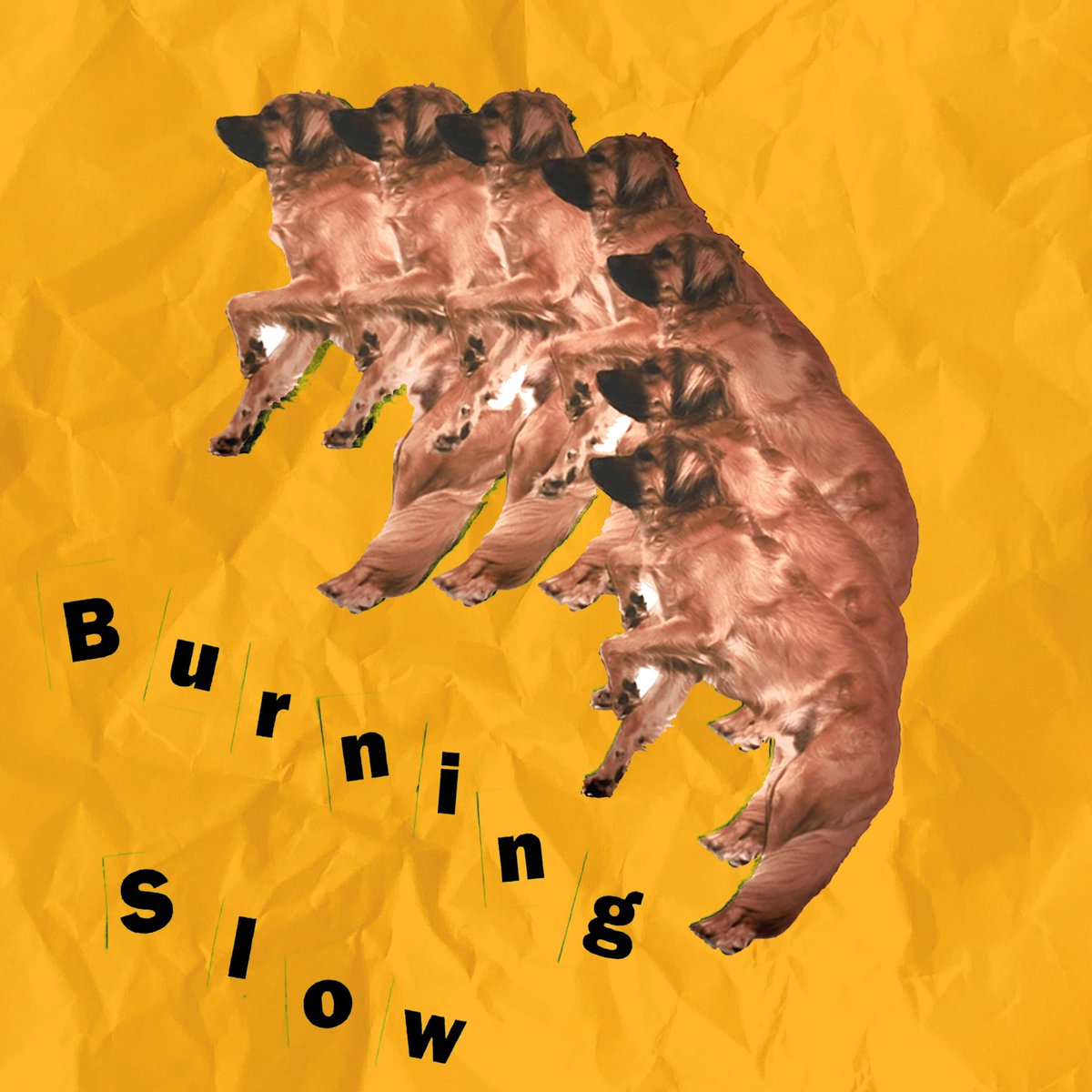 New song

youtu.be/WcdH3lw-HPY?si…